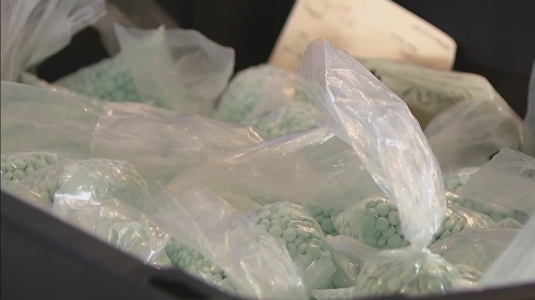 More than 60 arrested in Citrus anti-drug operation